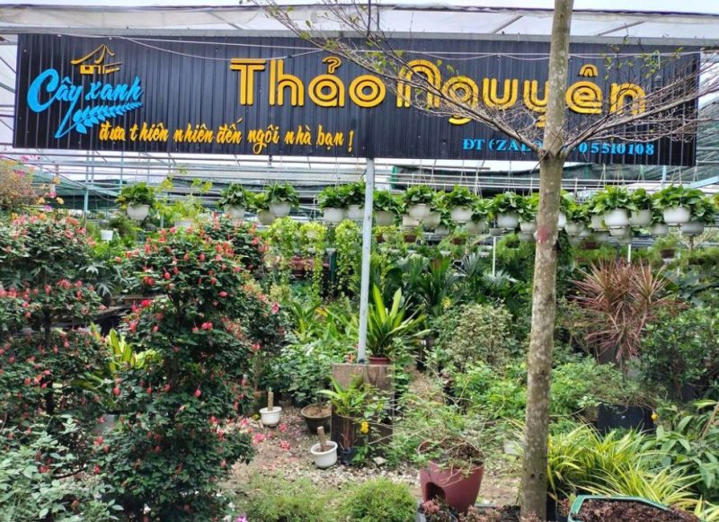 Cây xanh Thảo Nguyên