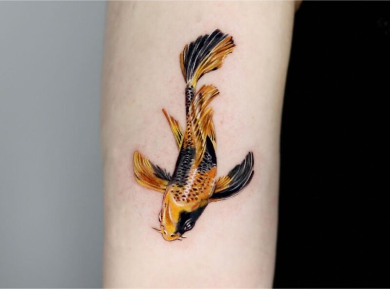 Hình xăm mini cá chép đẹp