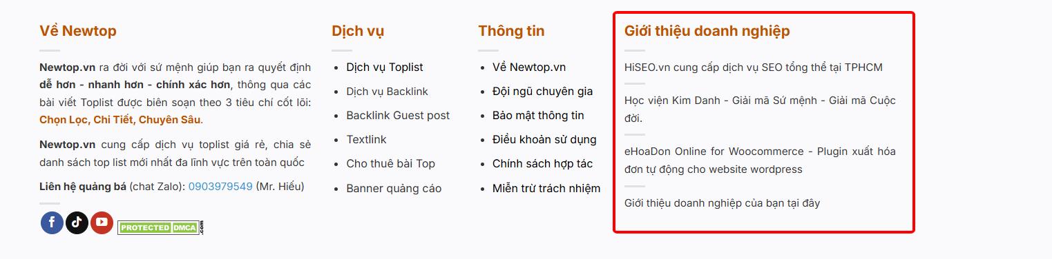 Khu vực đặt textlink footer toàn trang tại Newtop