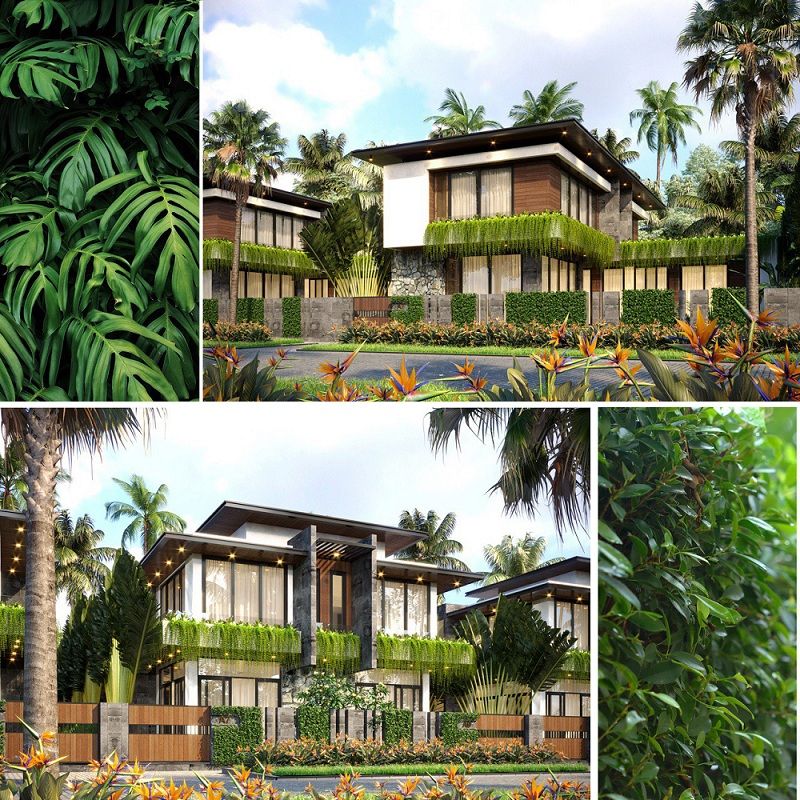 Biệt thự đơn lập phong cách Nhiệt đới