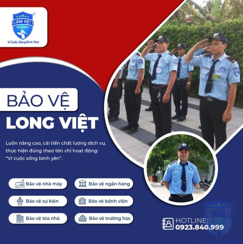 dich vu bao ve tai long viet